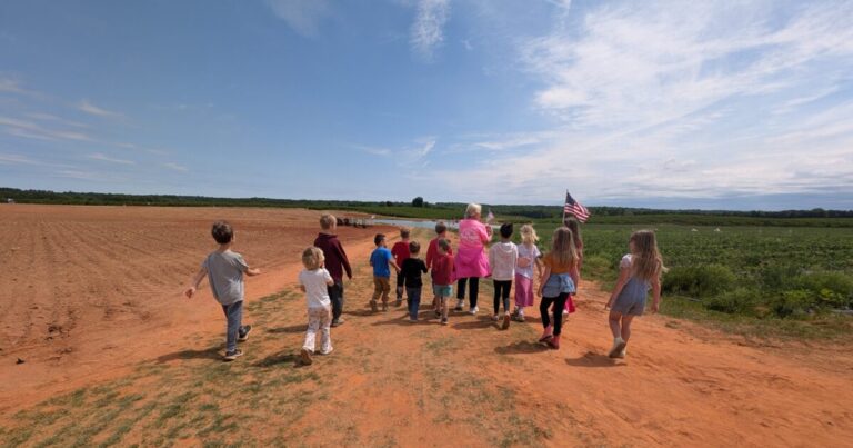 Homeschool socialization and children playing together at an outdoor meetup