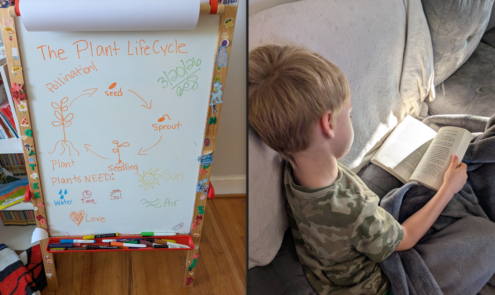 A Real Homeschool Day in the Life